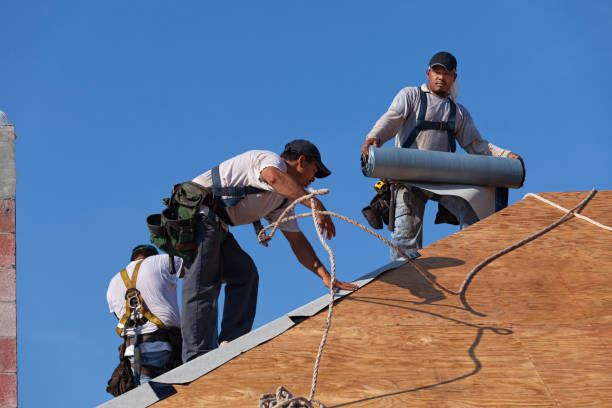 Best Roof Maintenance Services  in Meadow Vista, CA
