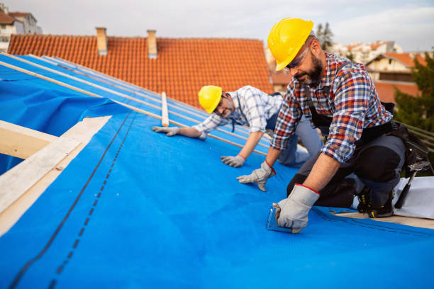 Best Metal Roofing Contractor  in Meadow Vista, CA