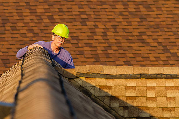 Roof Gutter Cleaning in Meadow Vista, CA