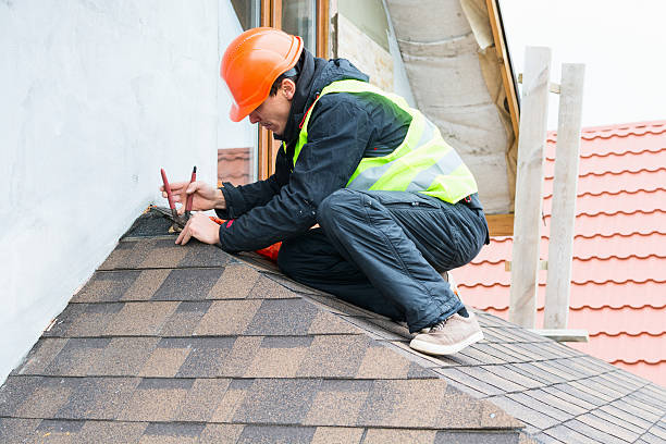 Best Roof Gutter Cleaning  in Meadow Vista, CA