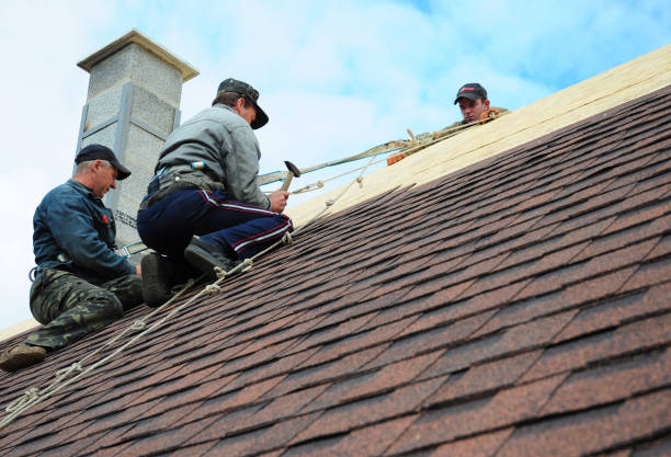 Best Roof Inspection Near Me  in Meadow Vista, CA