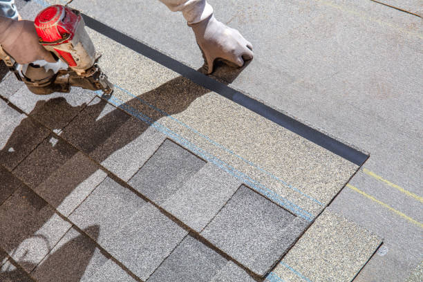 Best Metal Roofing Contractor  in Meadow Vista, CA